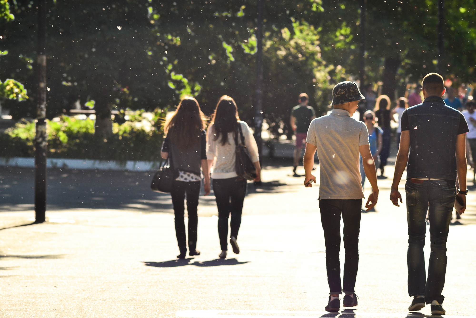 Image of students walking in a campus